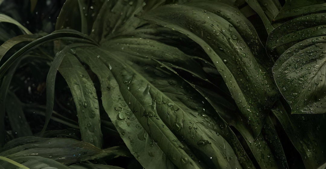 Data Center Illustration